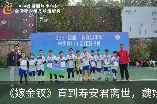 《嫁金钗》直到寿安君离世，魏娆才明白，君黛之后还有强敌
