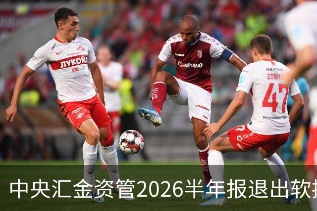 中央汇金资管2026半年报退出软控股份前十大股东名单