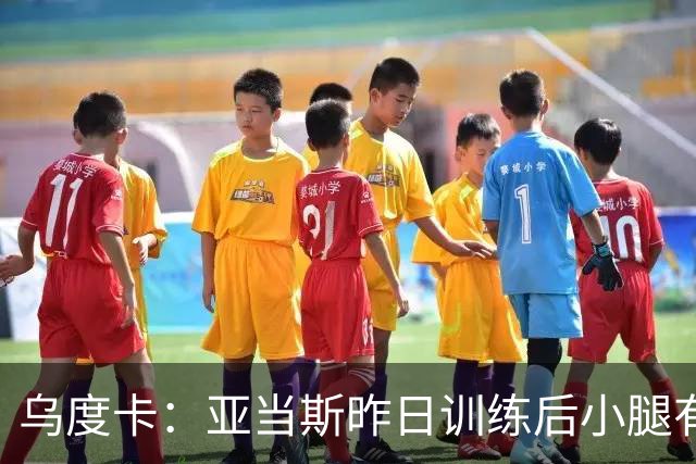 乌度卡：亚当斯昨日训练后小腿有些酸痛 今日能否出战赛前决定
