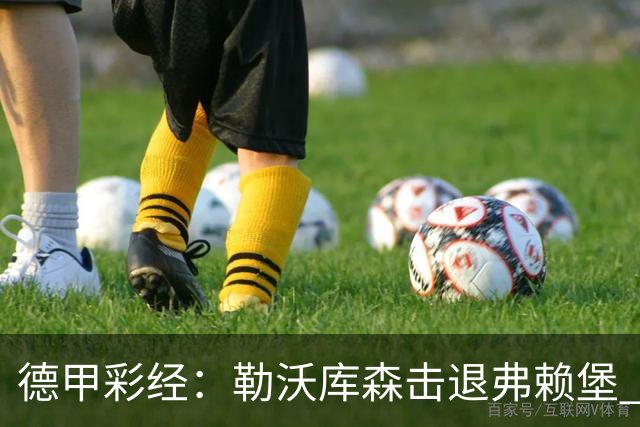 德甲彩经：勒沃库森击退弗赖堡 霍芬海姆难胜门兴