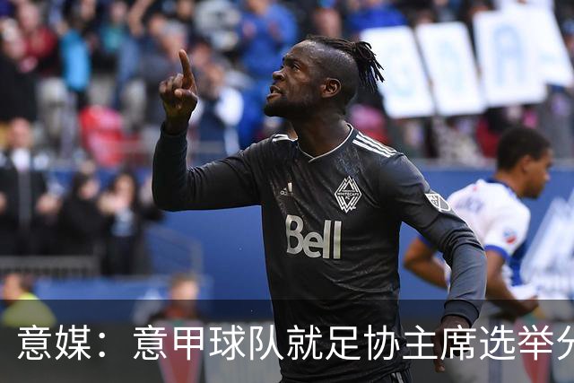 意媒：意甲球队就足协主席选举分为马拉戈、加利亚尼两个阵营