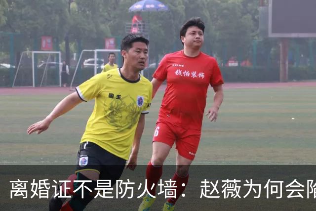 离婚证不是防火墙：赵薇为何会陷入缅北诈骗的舆论漩涡